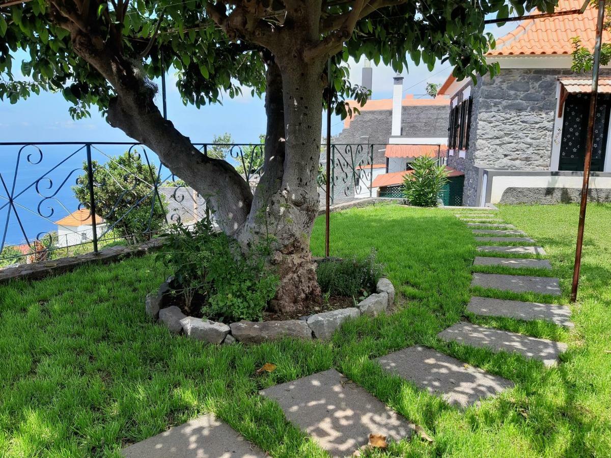 Casa Velha D Fernando E Casa Avo Augusta Hotel Ribeira Brava Exterior foto
